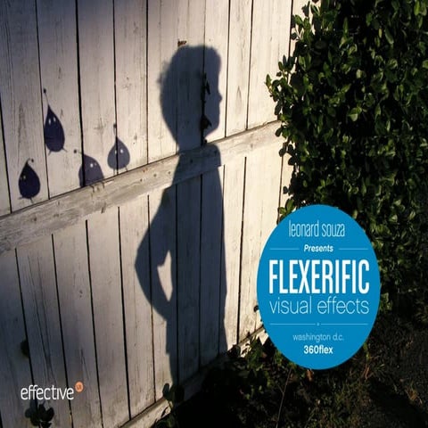 Flexerific Visual Effects