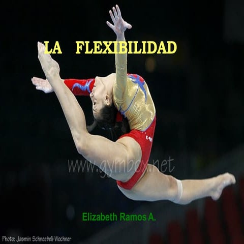 Flexibilidad