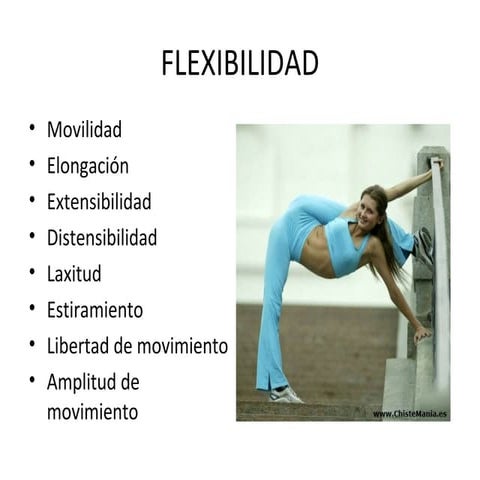 Flexibilidad