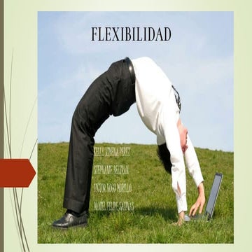 Expo Flexibilidad