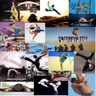 Flexibility