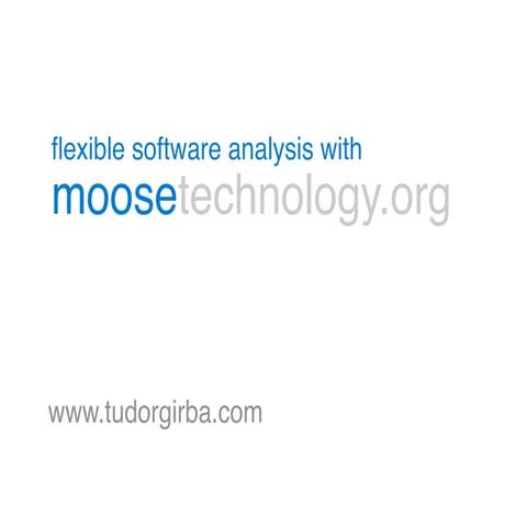 Flexible analysis with Moose at Jazoon 2011