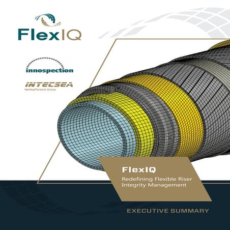 FlexIQ - Executive Summary 