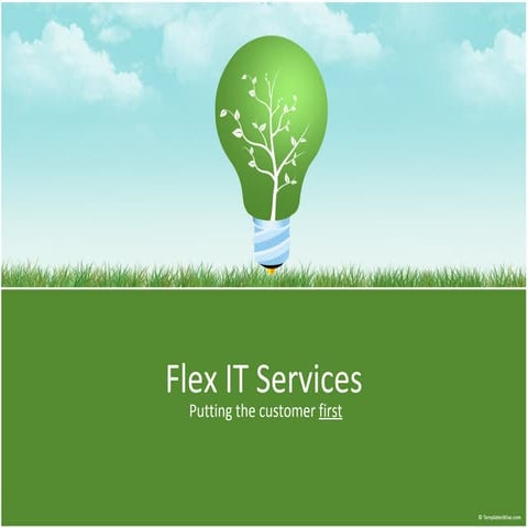 Flex it services spotlight 1