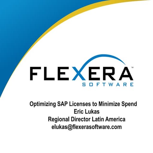 Flex net manager for sap applications v9 1 presentation