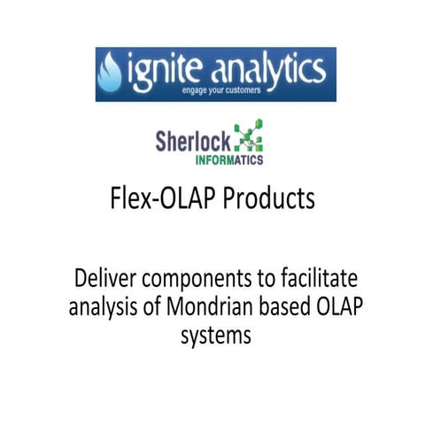 Flex Olap Components