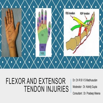 FDP FDS repair.pdf
