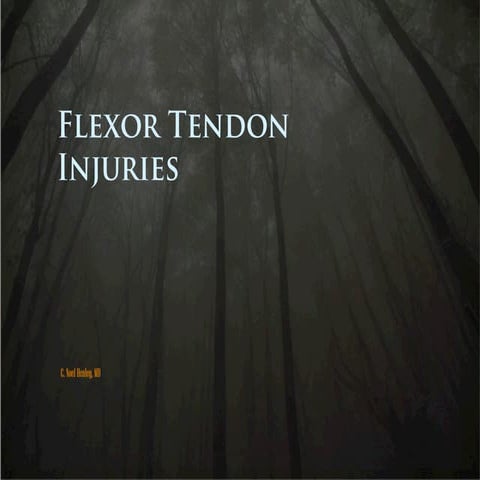 Flexor Tendons - Anatomy, Injury, Treatment