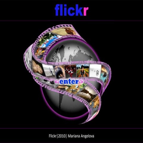 Flickr 2010