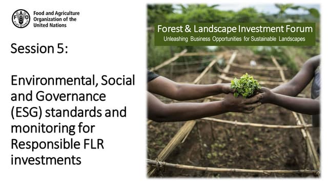 Session 5: Environmental, Social and Governance standards and Monitoring for FLR investments