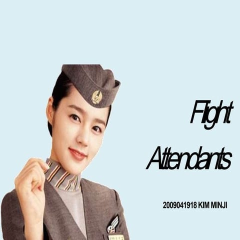 The survey of flight attendant by DAISY