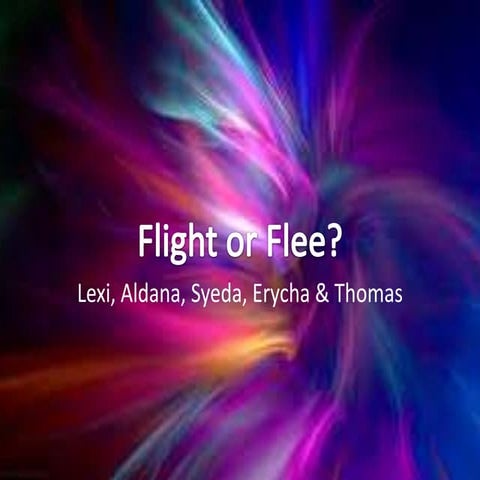 Flight or flee artifact 10.29.12