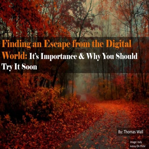 Finding an Escape from the Digital World - It's Importance & Why You Should T...