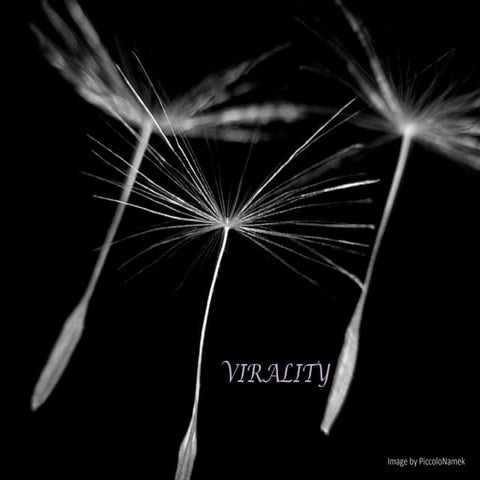 FILM260 Flipbook Submission