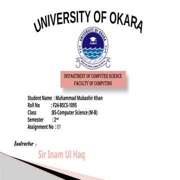 Flip flop presenation-Presented By Mubahir khan.pptx