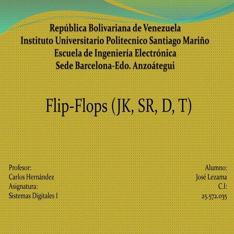 Flip flops2 presentación