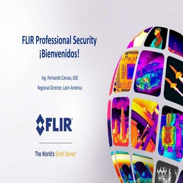 flir dvtel