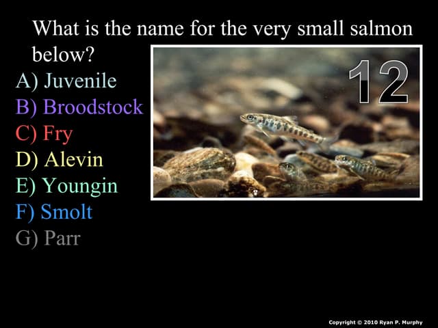 Flooding, Dams, Levee's PowerPoint Quiz Game