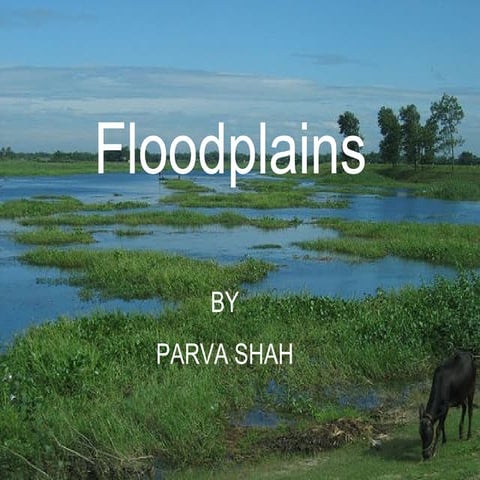 Floodplain presentation 2