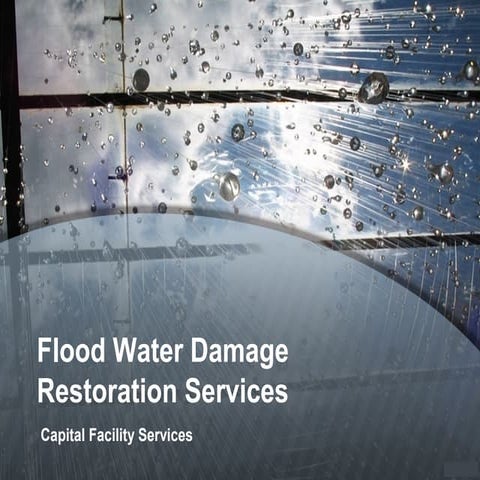 Curated visual reference: Gallery Detail: Flood Water Damage Restoration