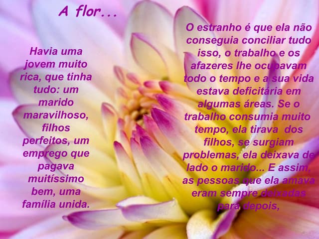 Flor