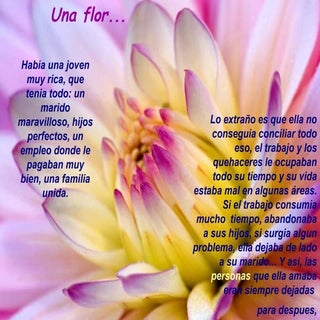 Flor