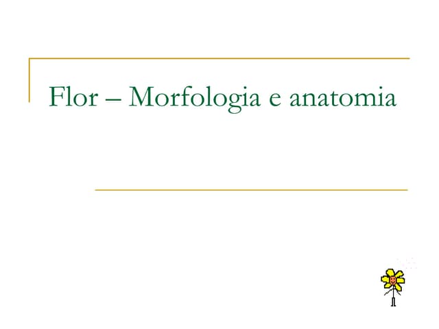 Flor – Morfologia E Anatomia