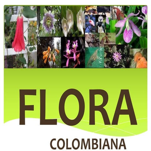 Flora y fauna de Entre Ríos | PPTX