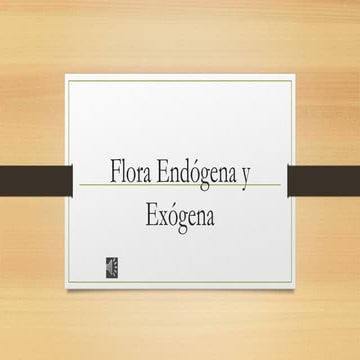 Flora-Endogena-y-exogena.pptx Ginecologia | PPTX