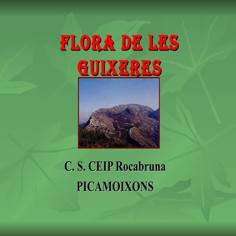 Flora I Fauna De Les Guixeres