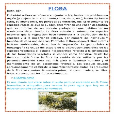 Flora de tacna