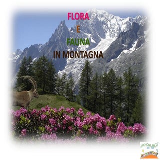 Flora e fauna della montagna