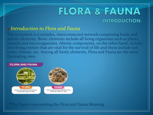 FLORA FAUNA pptx flora-fauna-pptx