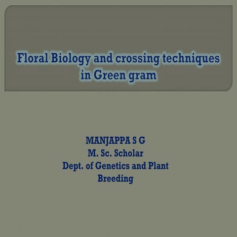 Floral biology and crossing techniques in greengram