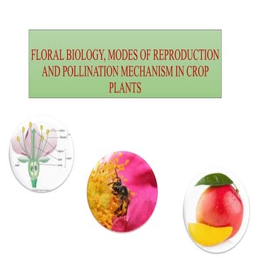 Floral biology, modes of reproduction and pollination