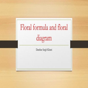 Floral formula and floral diagram