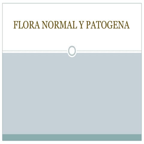 Flora normal y patogena