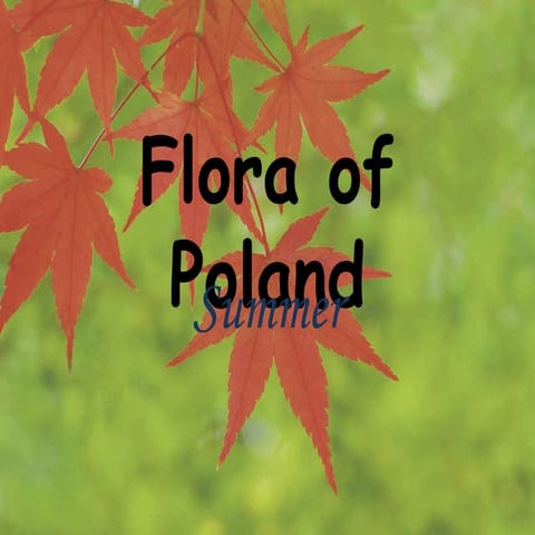 Flora of Poland - Summer