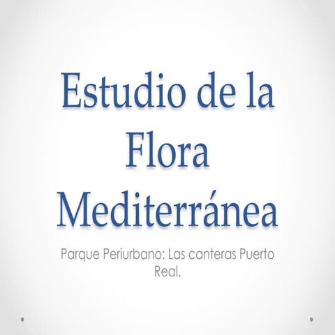 Flora parque periurbano de las canteras puerto real