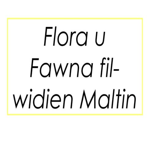Flora u Fawna