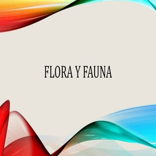 Flora y fauna