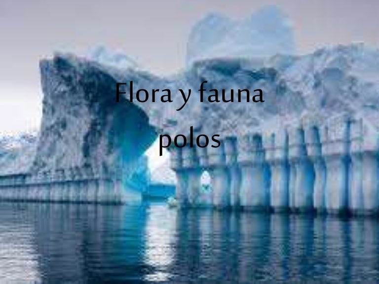 Download 900 Gambar Fauna Polos Keren Gratis