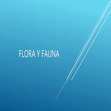 Flora y fauna