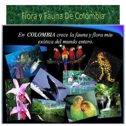 Flora y Fauna 
