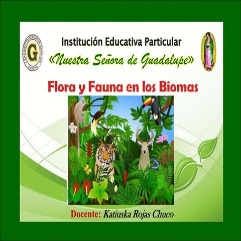 Flora y fauna de los biomas