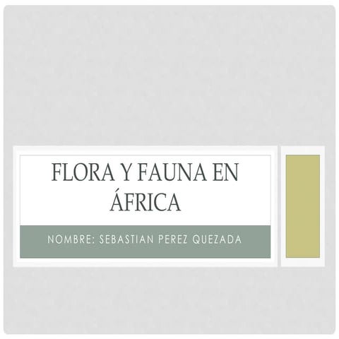 Flora y fauna en áfrica
