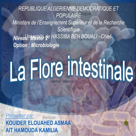 Flore intestinale
