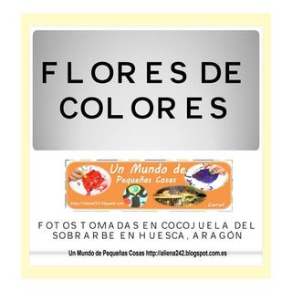 Flores