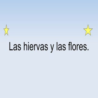 Flores