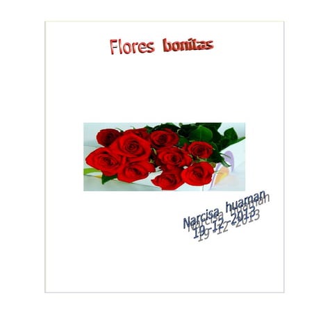 Flores 